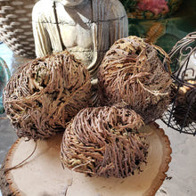 Load image into Gallery viewer, Rose of Jericho (Large)