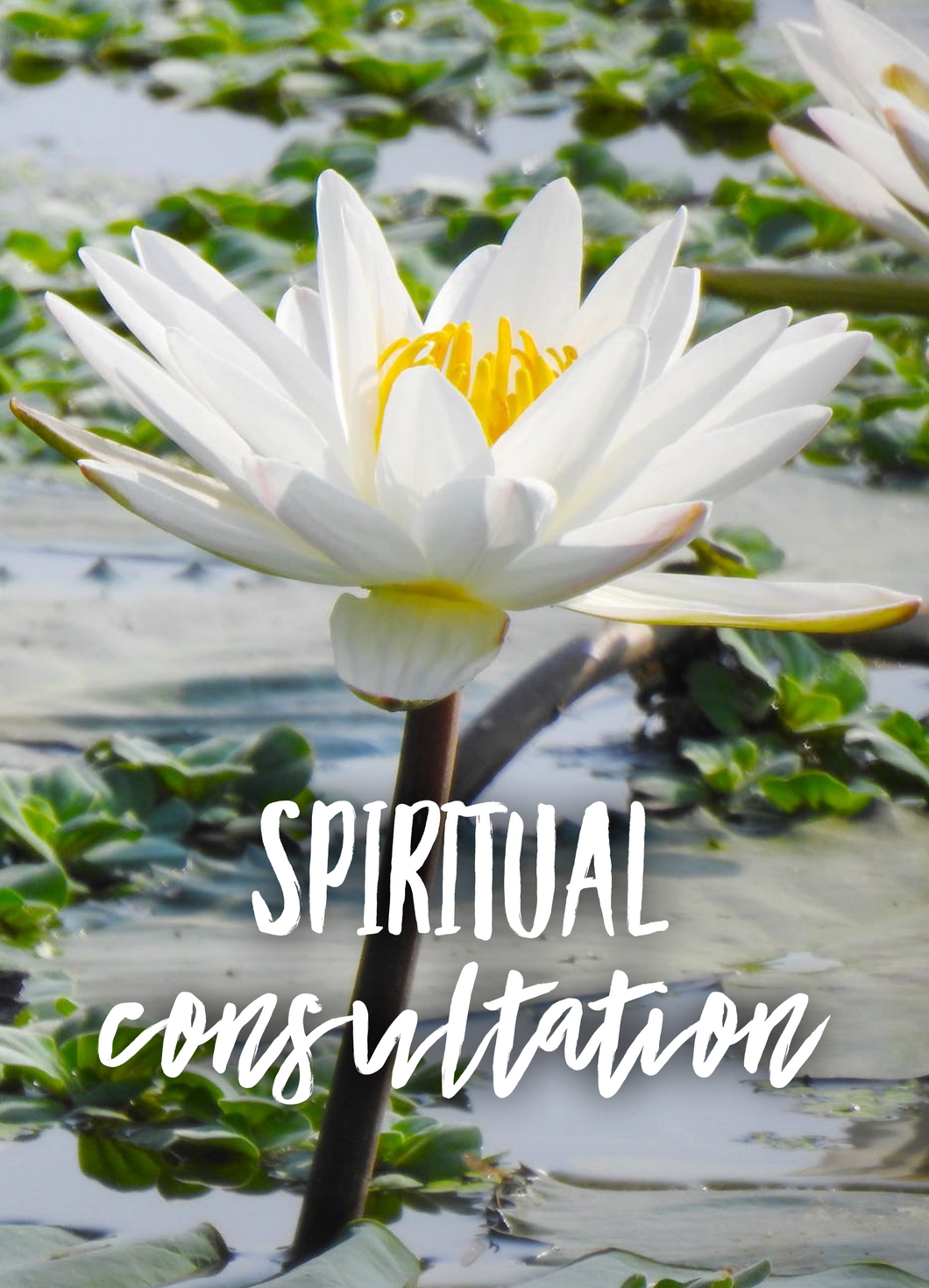 Spiritual Consultation