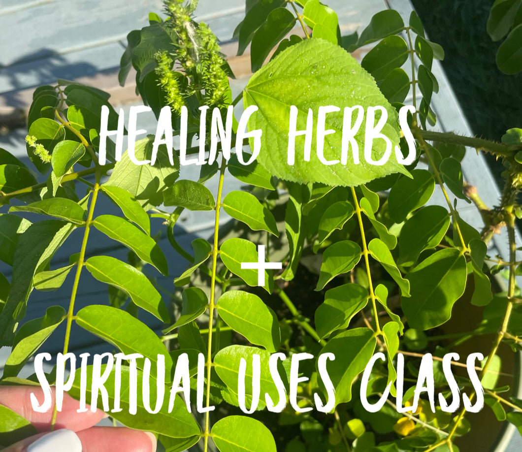 Healing Herbs Class