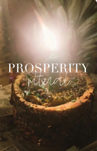Load image into Gallery viewer, Prosperity Spell / Trabajo para Prosperidad
