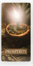 Load image into Gallery viewer, Prosperity Spell / Trabajo para Prosperidad

