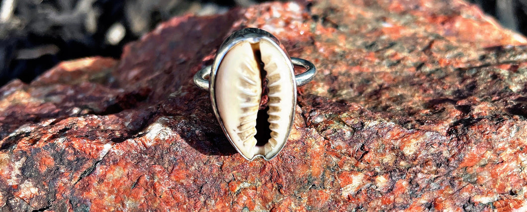 Cowrie Shell Ring .925 Sterling Silver